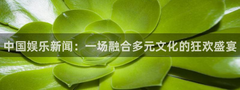 中国娱乐新闻：一场融合多元文化的狂欢盛宴