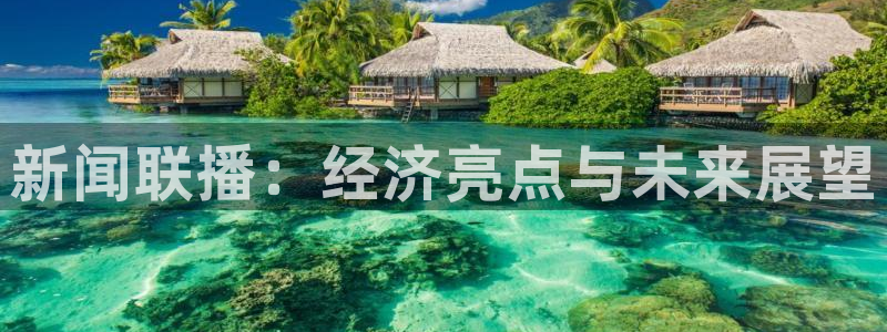 新闻联播：经济亮点与未来展望
